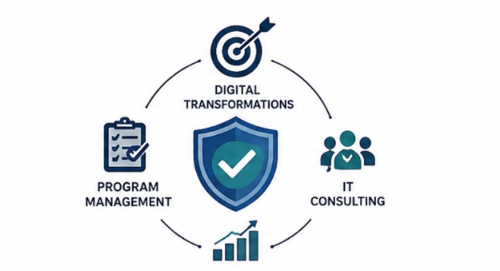 Governance icon